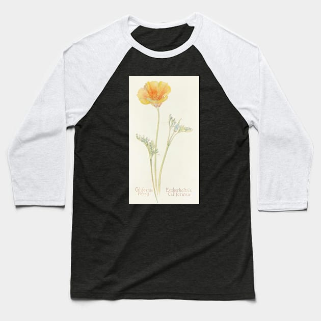 California Poppy - Botanical Illustration Baseball T-Shirt by chimakingthings